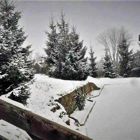 Cottage Ozerniy Lazeshchyna Dış mekan fotoğraf