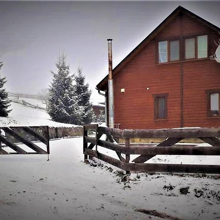 Cottage Ozerniy Lazeshchyna Dış mekan fotoğraf