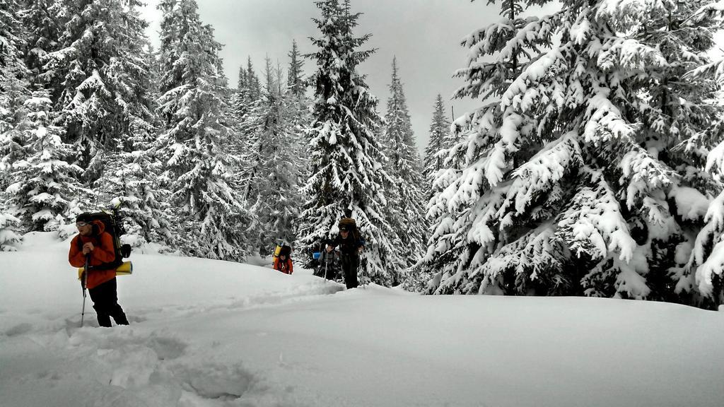 Cottage Ozerniy Lazeshchyna Dış mekan fotoğraf