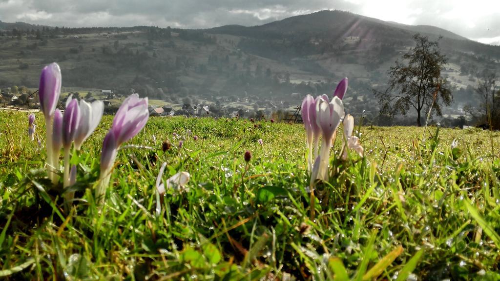 Cottage Ozerniy Lazeshchyna Dış mekan fotoğraf