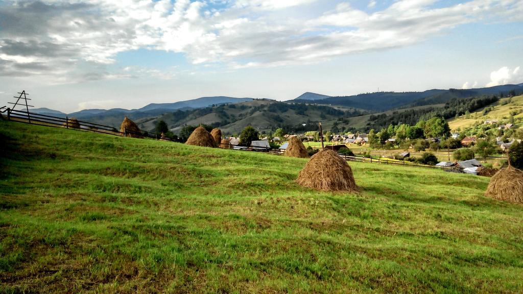 Cottage Ozerniy Lazeshchyna Dış mekan fotoğraf