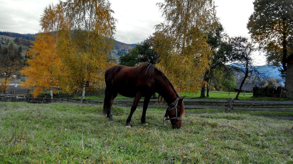 Cottage Ozerniy Lazeshchyna Dış mekan fotoğraf