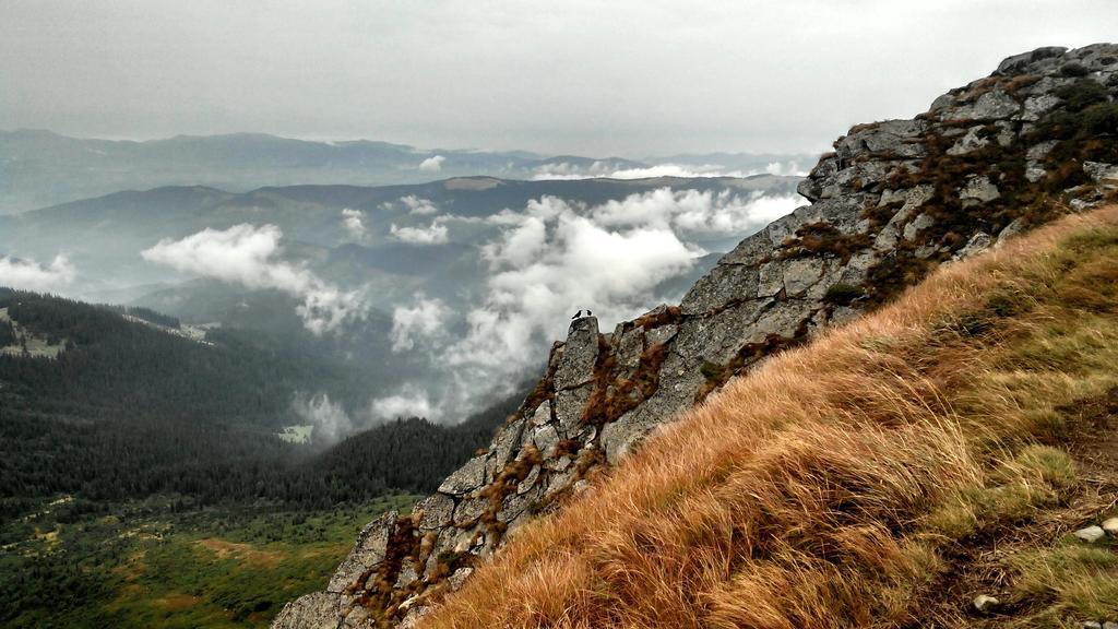 Cottage Ozerniy Lazeshchyna Dış mekan fotoğraf