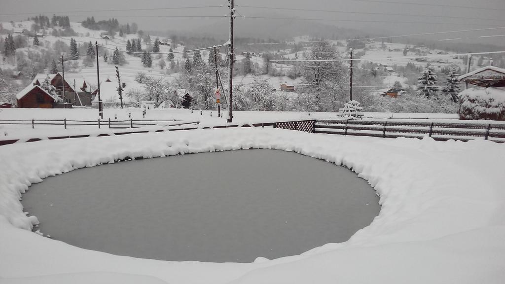 Cottage Ozerniy Lazeshchyna Dış mekan fotoğraf